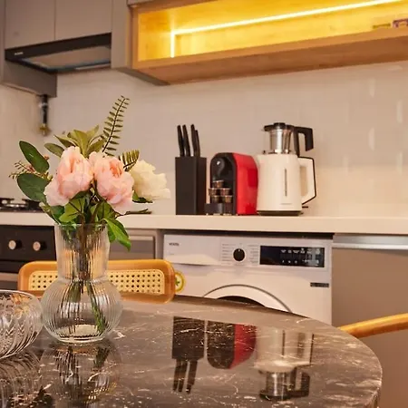 Renovated 2br Near Galata Tower 3 Διαμέρισμα *