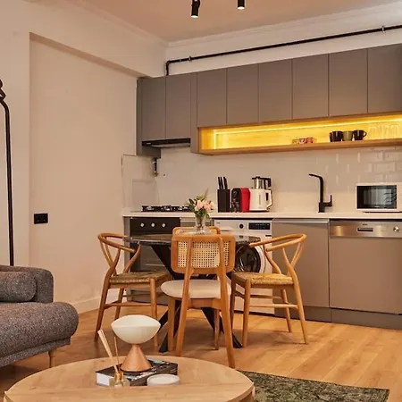 Apartment Renovated 2br Near Galata Tower 3